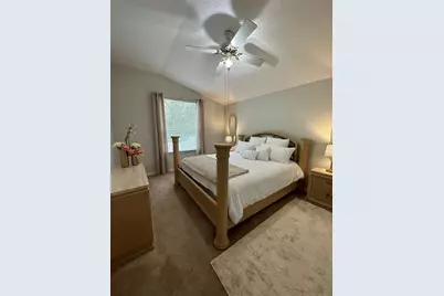 29651 Birds Eye Drive, Wesley Chapel, FL 33543 - Photo 11