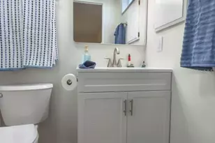 229 Dixie, Tarpon Springs, FL 34689 - Photo 29