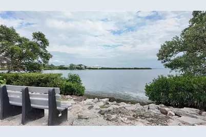 229 Dixie, Tarpon Springs, FL 34689 - Photo 69