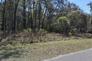 11500 Lomita Wren Rd, Weeki Wachee, FL 34614 - Photo 1