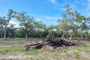 7242 Elaine Dr, Webster, FL 33597 - Photo 33