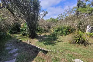 5203 Presidential St, Seffner, FL 33584 - Photo 19