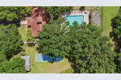 2690 Coral Landings Boulevard #133, Palm Harbor, FL 34684 - Photo 27