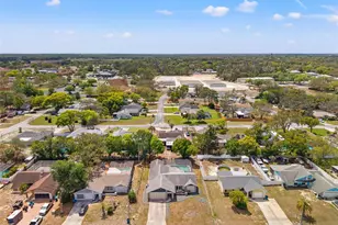 8392 Camphor Dr, Spring Hill, FL 34606 - Photo 39