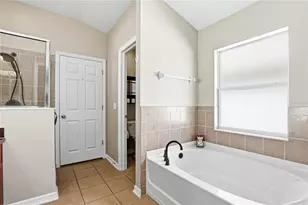 34139 Spring Oak Trail, Wesley Chapel, FL 33545 - Photo 31