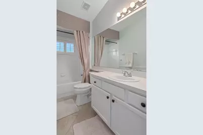 5245 Gato Del Sol Circle, Wesley Chapel, FL 33544 - Photo 39