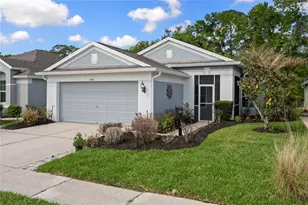 5245 Gato Del Sol Cir, Wesley Chapel, FL 33544 - Photo 1
