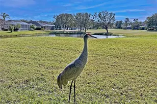 5245 Gato Del Sol Cir, Wesley Chapel, FL 33544 - Photo 81