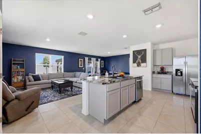 33479 Elm Hill Branch, Wesley Chapel, FL 33545 - Photo 3