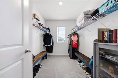 33479 Elm Hill Branch, Wesley Chapel, FL 33545 - Photo 23