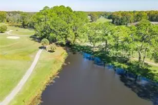 11213 Kiskadee Cir, New Port Richey, FL 34654 - Photo 51