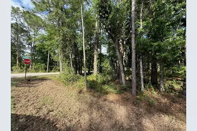 Quail Hollow Boulevard, Wesley Chapel, FL 33544 - Photo 13