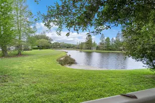 11504 Crowned Sparrow Ln, Tampa, FL 33626 - Photo 43