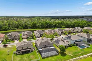 10316 Clover Pine Dr, Tampa, FL 33647 - Photo 79