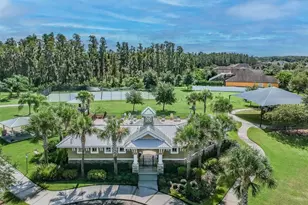 10316 Clover Pine Dr, Tampa, FL 33647 - Photo 89