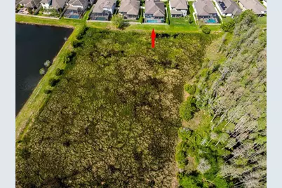 8306 Bluevine Sky Drive, Land O Lakes, FL 34637 - Photo 65