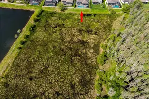 8306 Bluevine Sky Dr, Land O Lakes, FL 34637 - Photo 65