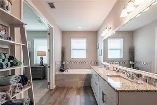 8306 Bluevine Sky Dr, Land O Lakes, FL 34637 - Photo 37