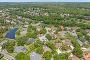 3692 Johnathon Ave, Palm Harbor, FL 34685 - Photo 67