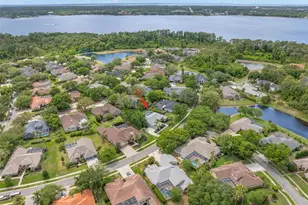 3692 Johnathon Ave, Palm Harbor, FL 34685 - Photo 69