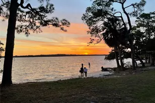 3324 Briarwood Ln, Safety Harbor, FL 34695 - Photo 33