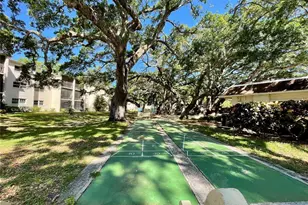 840 Virginia St, Dunedin, FL 34698 - Photo 23