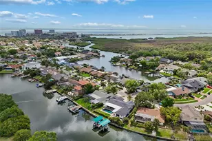 4213 Saltwater Blvd, Tampa, FL 33615 - Photo 69