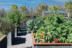 19724 Ship Wheel Wy, Land O Lakes, FL 34638 - Photo 63