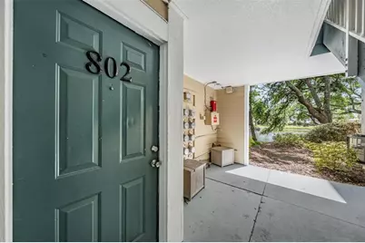 10024 Strafford Oak Court #802, Tampa, FL 33624 - Photo 3