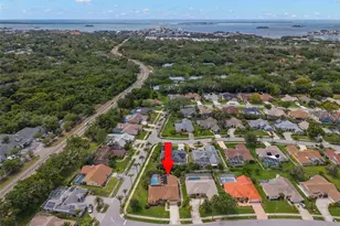 2686 Scobee Dr, Palm Harbor, FL 34683 - Photo 45