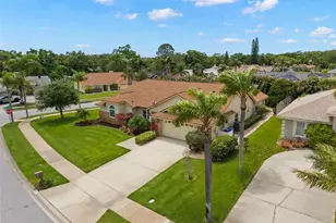 2686 Scobee Dr, Palm Harbor, FL 34683 - Photo 39