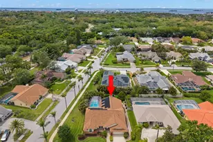 2686 Scobee Dr, Palm Harbor, FL 34683 - Photo 41