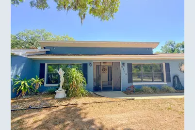 8818 Mathog Road, Riverview, FL 33578 - Photo 3