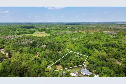 0 Muddy Water Trail, Thonotosassa, FL 33592 - Photo 23