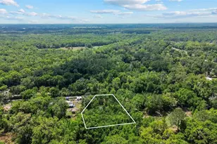 0 Muddy Water Trail, Thonotosassa, FL 33592 - Photo 1