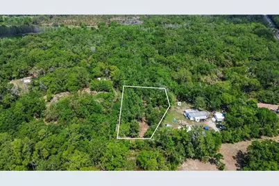 0 Muddy Water Trail, Thonotosassa, FL 33592 - Photo 31