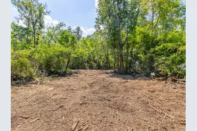 0 Muddy Water Trail, Thonotosassa, FL 33592 - Photo 5