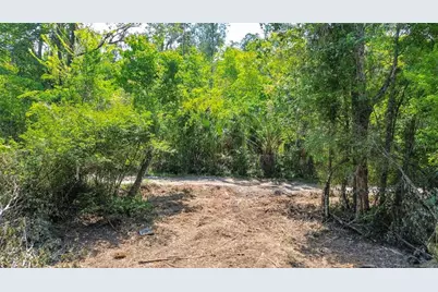 0 Muddy Water Trail, Thonotosassa, FL 33592 - Photo 19