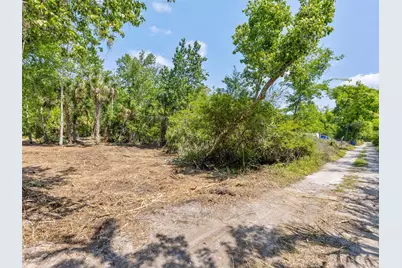 0 Muddy Water Trail, Thonotosassa, FL 33592 - Photo 3
