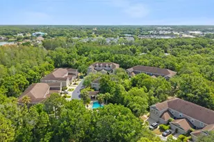 6220 Duck Key Ct, Tampa, FL 33625 - Photo 35