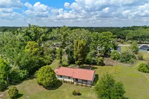 903 Lanewood Dr, Seffner, FL 33584 - Photo 5