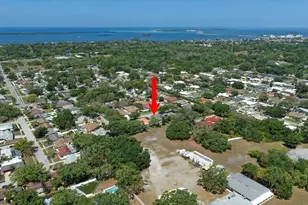 1633 Haywick Terrace, Dunedin, FL 34698 - Photo 27