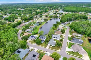 2433 Saddlewood Ln, Palm Harbor, FL 34685 - Photo 31