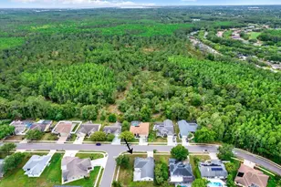 2433 Saddlewood Ln, Palm Harbor, FL 34685 - Photo 33