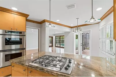 99 Ladoga Avenue, Tampa, FL 33606 - Photo 31