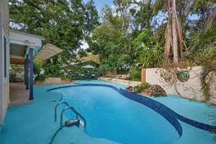 1330 Belcher Dr, Tarpon Springs, FL 34689 - Photo 41