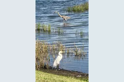 352 Laurel Falls Drive, Apollo Beach, FL 33572 - Photo 7