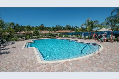 352 Laurel Falls Drive, Apollo Beach, FL 33572 - Photo 55