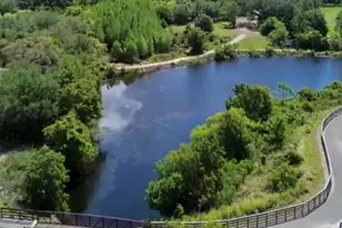 1001 Brigadoon Dr, Clearwater, FL 33759 - Photo 37