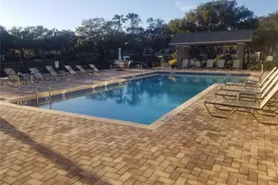 3314 Haviland Ct, Palm Harbor, FL 34684 - Photo 11